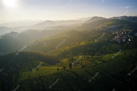Vista Aérea Da Bela Plantação De Chá Ao Pôr Do Sol Nas Montanhas