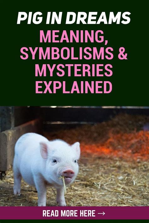 Spirit Animals Like Pigs Appear In Our Dreams To Guide Us In Making The