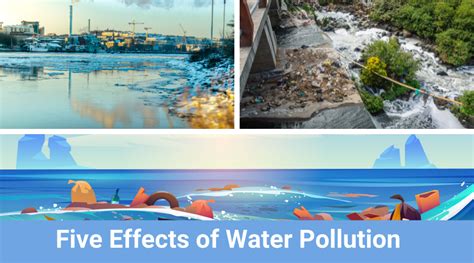 Five Effects Of Water Pollution Mediflam Blog