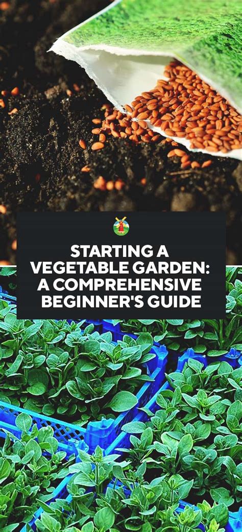 How To Make A Vegetable Garden For Beginners