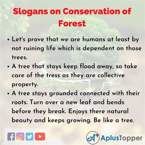 conservation of forest essay telegraph