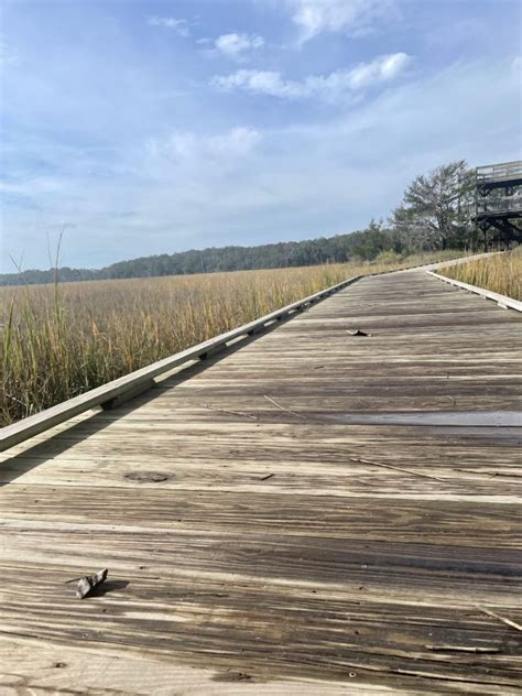 Skidaway Island State Park Explore Trails See Wildlife And Kayaking