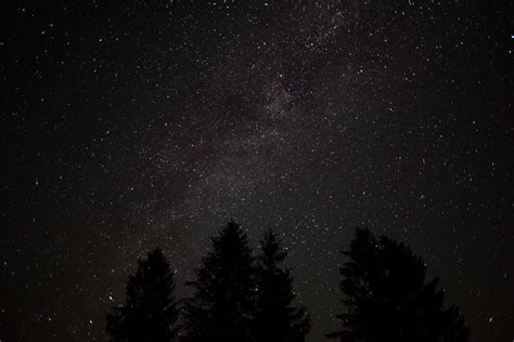 Fileforest Night Sky Spruce Trees Stars West Virginia Forestwander