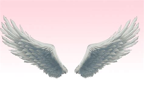 Mmd Absolute Best Angel Wings Angel Wings Tattoo Wings Drawing