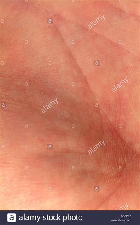 Palm Of A Human Males Left Hand Stock Photo Alamy