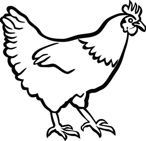 Chicken Clipart Outline Chicken Outline Transparent Free For Download