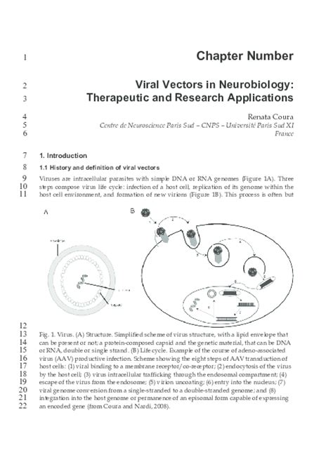 Pdf Viral Vectors In Neurobiology Therapeutic And Research