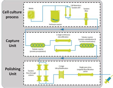 Downstream Development For An Integrated Continuous Manufacturing