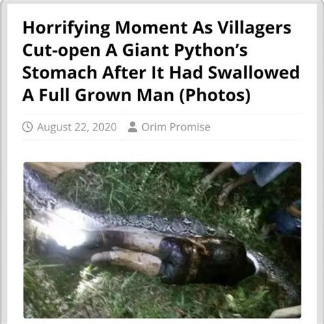 See The Horrifying Moment Villagers Cut Open A Giant Pythons Stomach