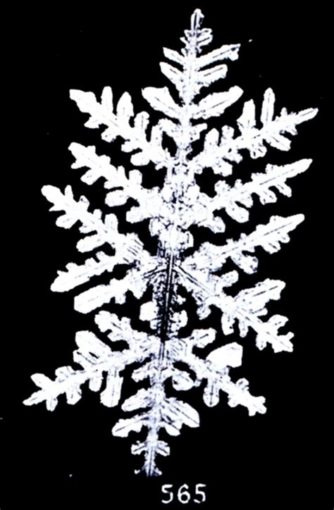 The First Snowflake Photographs