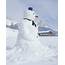 Snowman  Stock Image C014/4238 Science Photo Library