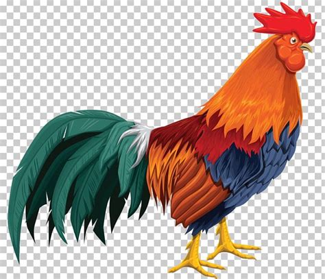 Animated Rooster Images Rooster Cartoon Stock Photography Dozorisozo