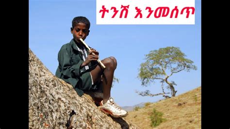 Ethiopiaethiopian Classical Music ምርጥ በመሳሪያ ብቻ የተቀነባበረ ሙዚቃ Youtube