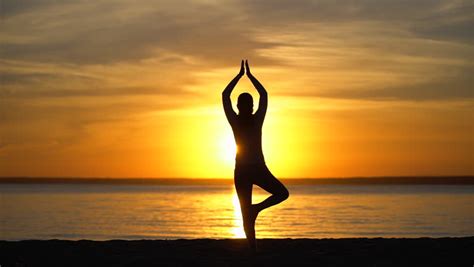Silhouette Sporty Yoga Woman Doing Stock Footage Video 100 Royalty