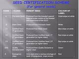 Images of Seed Quality Control Ppt