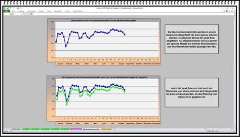 Peak Flow Meter Protokoll Asthma Ampel Excel Liste Copd Werte Auswertung Vorlage Ebay