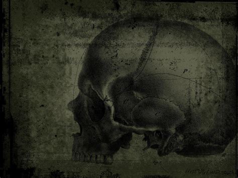 Gothic Skulls Wallpaper Wallpapersafari