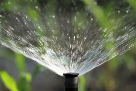 Check spelling or type a new query. Sprinkler Repair | Kingwood Sprinkler | Sprinkler System Kingwood, Tx