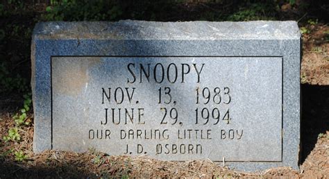 Personalized pet grave markers with your pet's photo and personal wording engraved on granite. Homemade Headstones For Dogs - Homemade Ftempo