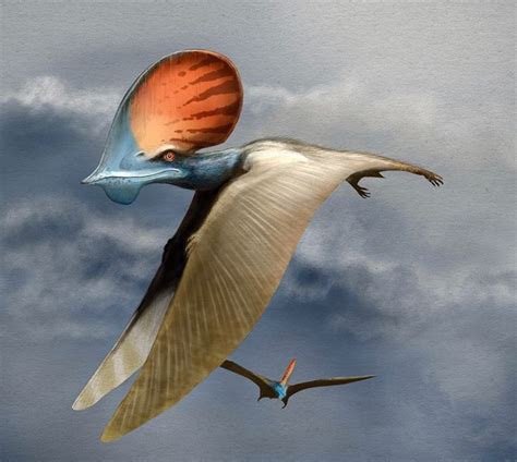 This Pterosaur Named Tapejara Lived In What Is Now Brazil About 110