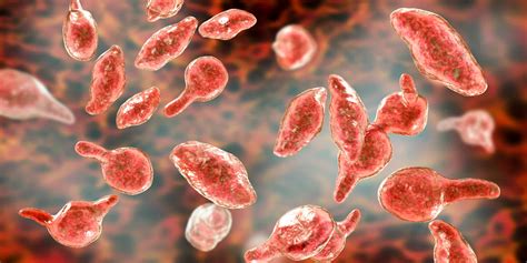 What Is Mycoplasma Genitalium The Common Sti Youve Probably Never