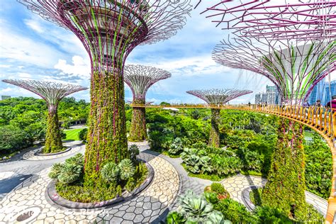 The Amazing World Gardens By The Bay Largest Nature Park Marina Bay