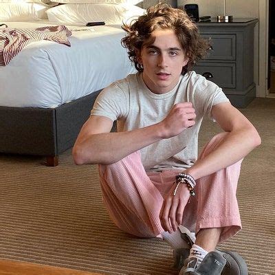 Pin On Timoth E Chalamet