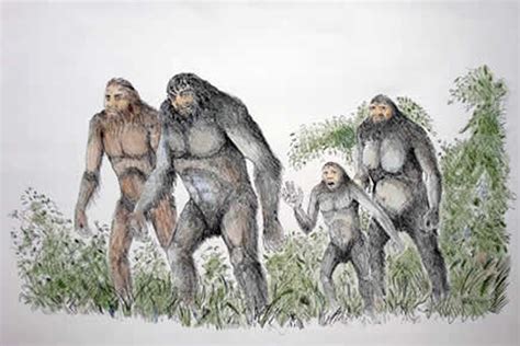 bigfoot are spiritual beings interview with a yakima native elder sasquatch close encounter
