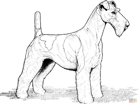Rescue Dog Colouring Pages Clip Art Library