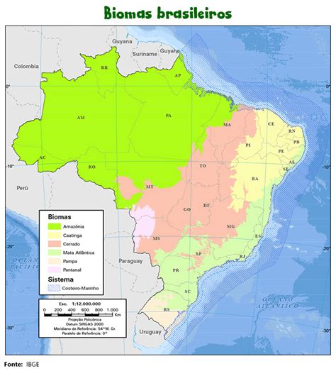 Geografia Biomas Brasileiros Conex O Escola Sme