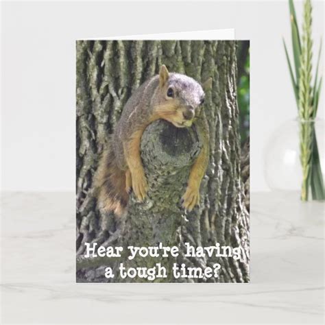 Hang In There Get Well Card Cute Squirrel Card Size 5 X 7