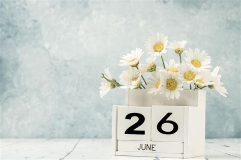 White Cube Calendar For June Decorated With Daisy Flowers Stock Photo