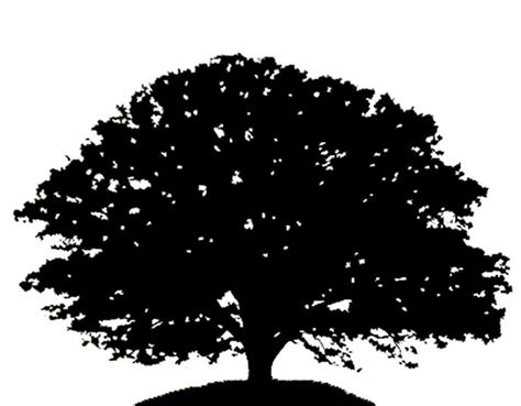 Oak Tree Svg Download Oak Tree Svg For Free 2019