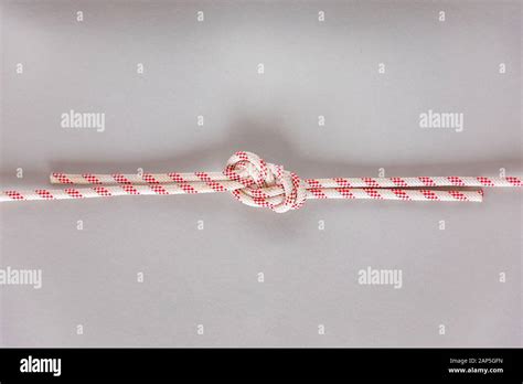 Figure Eight Bend Or Flemish Bend Ship Knot On Grey Background Stock