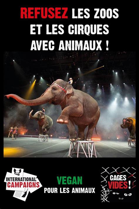 Le Havre Contre Les Cirques Avec Animaux Samedi 23 Septembre 2017