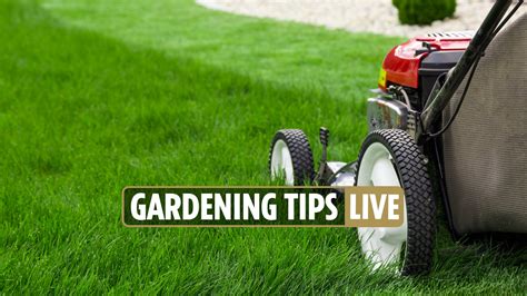 Gardening Tips 2022 — Im An Expert And My Three Simple Tricks Will