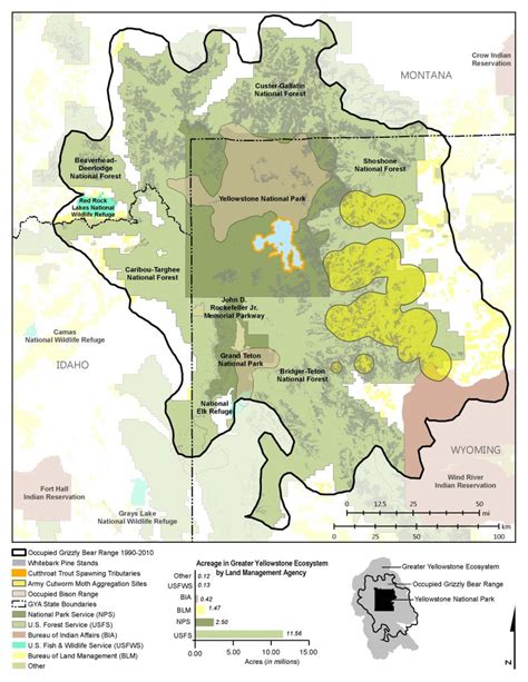 Grizzly Bears Ultimate Omnivores Of The Greater Yellowstone Bears In California Map