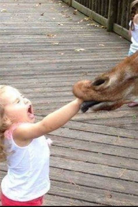 Forget Cats Funny Kids Vs Zoo Animals Are Way Funnier