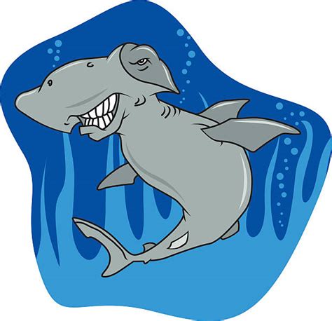 Best Hammerhead Shark Clipart Illustrations Royalty Free Vector