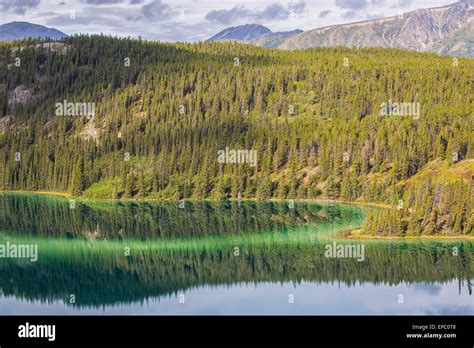 Emerald Lake Near Carcross Yukon Canada Stock Photo Alamy