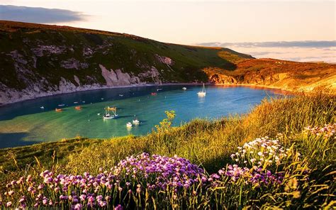 Lulworth Cove Dorset England Lulworth Cove Dorset England England