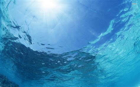 4k Ultra Hd Underwater Wallpapers Top Free 4k Ultra Hd Underwater Backgrounds Wallpaperaccess