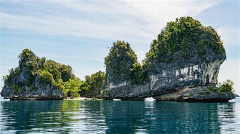 Tips Liburan Asik Di Raja Ampat Jadikan Pengalaman Ke Wisata Papua Barat Tak Terlupakan