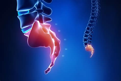 Lower back pain bone sticking out melbourne, hip and leg. Medical News Today: How do you stretch out your tailbone ...