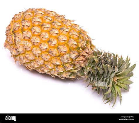 Whole Pineapple Hi Res Stock Photography And Images Alamy