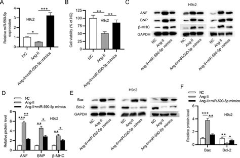 mir 590 5p overexpression alleviated apoptosis and suppressed levels of download scientific