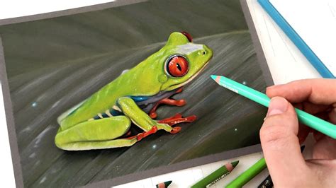 Green Tree Frog Original Colored Pencil Art Portrait Br