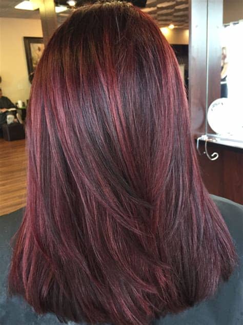 Wine red hair with black peekaboo highlights. Reds lowlights dimensional red | Plum hair, Red hair color ...