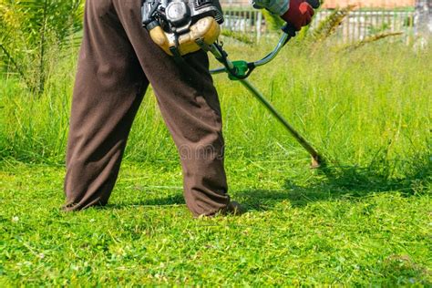 The Gardener Cutting Grass By Lawn Mower Lawn Care Stock Image Image
