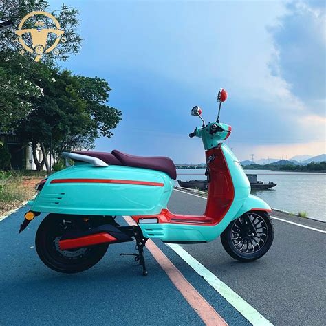 Eec Coc Lucking L E L E V Ah With Lithium Battery W W Adult Electric Scooter